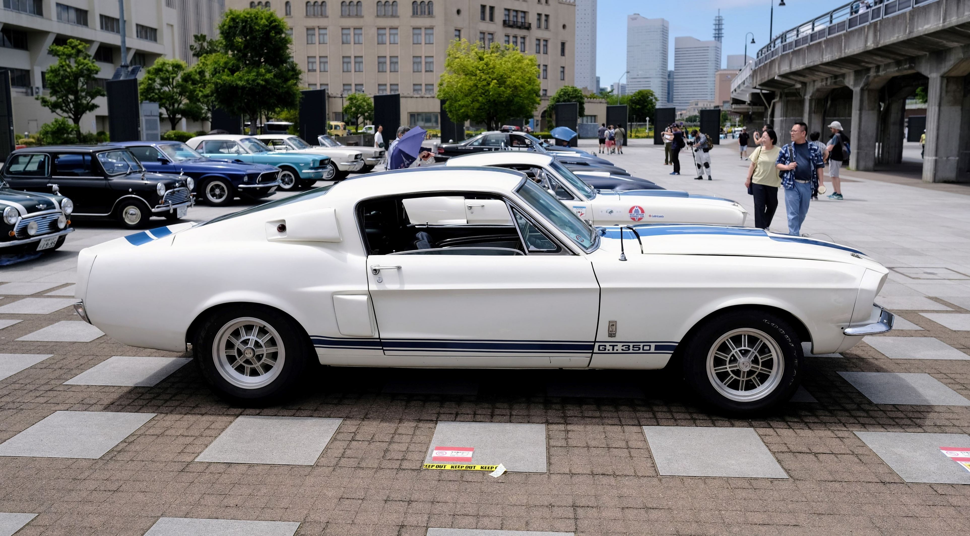 U69954.1718658174.0.jpg