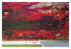 Uber Exif Photo