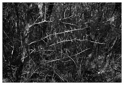 Uber Exif Photo