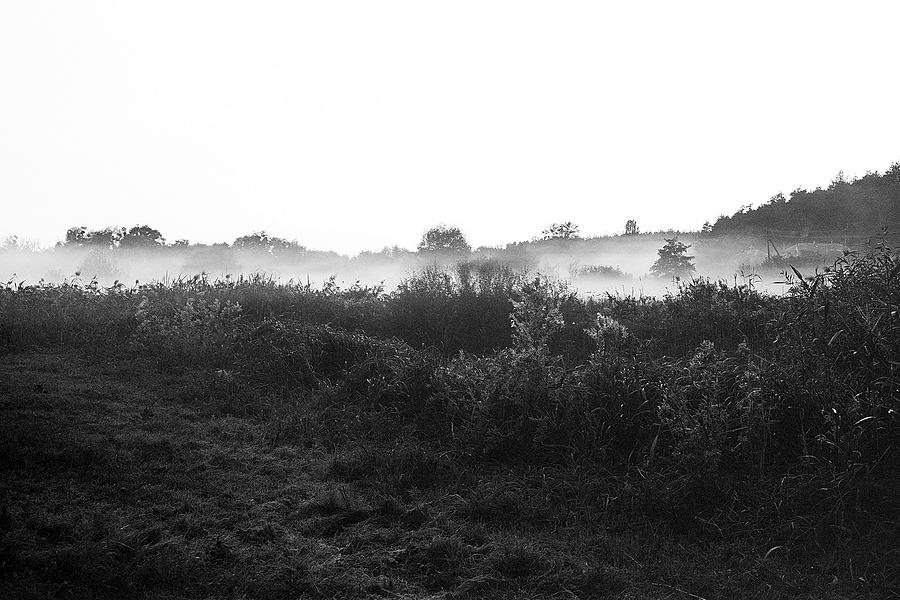 med_U82868.1718176365.0.jpg