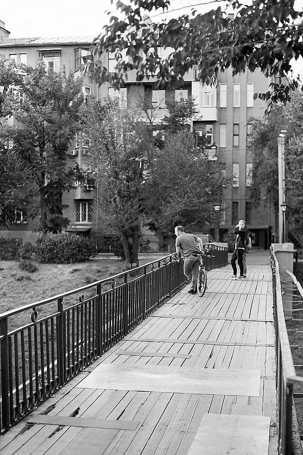med_U82868.1718514728.0.jpg
