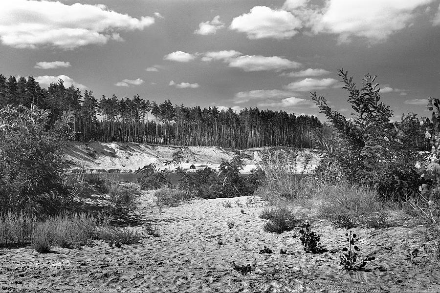 med_U82868.1730306705.0.jpg