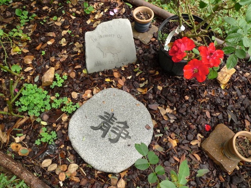 U11787I1584302284.SEQ.0.jpg