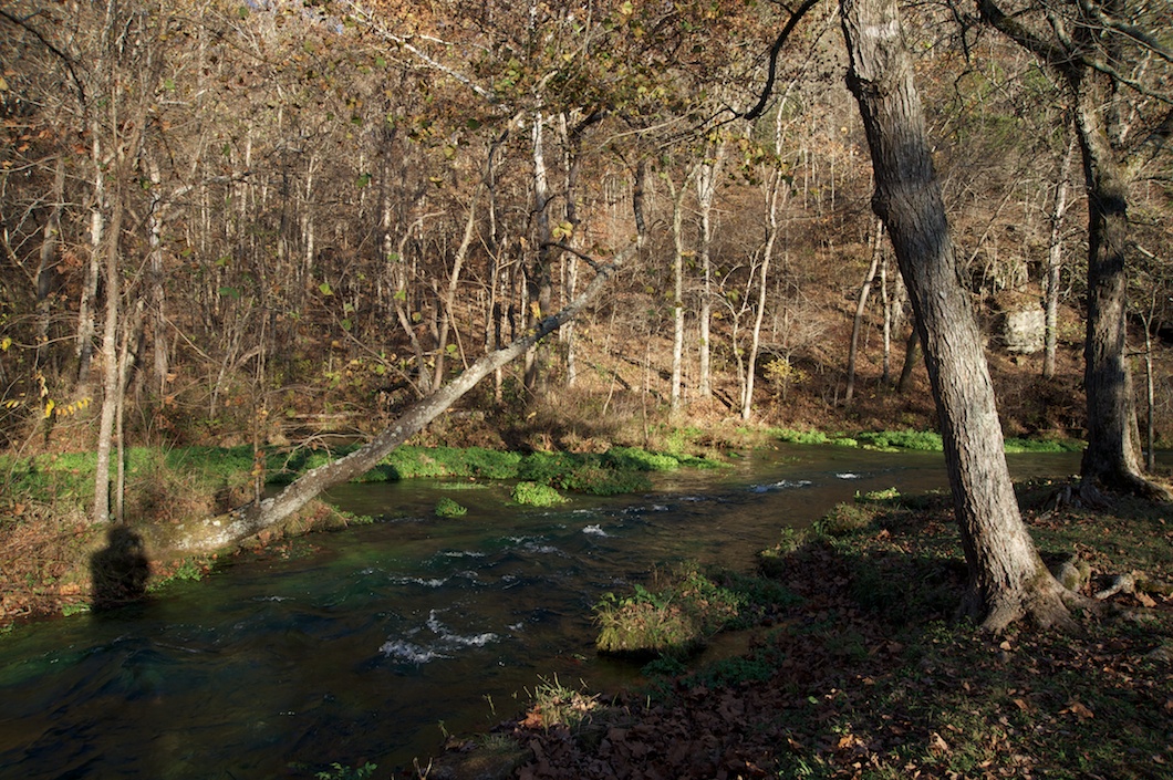 U11787I1584433579.SEQ.0.jpg