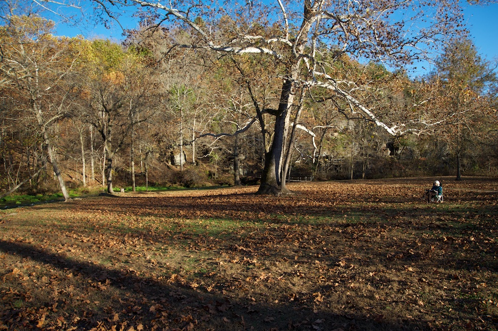U11787I1584433580.SEQ.1.jpg