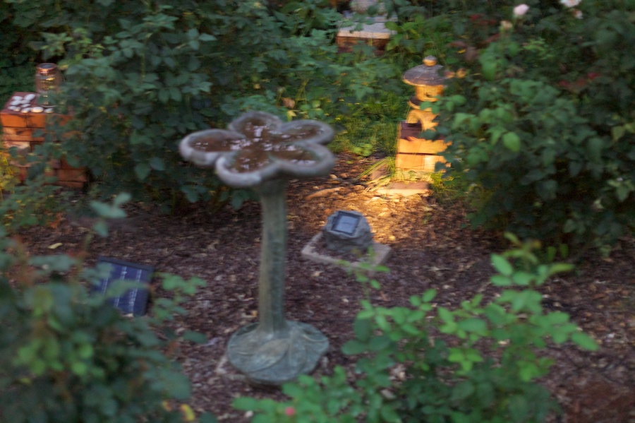U11787I1627008535.SEQ.0.jpg