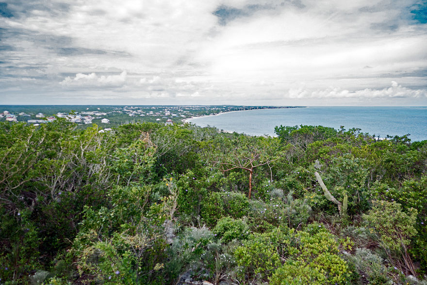 U26194I1526736674.SEQ.1.jpg