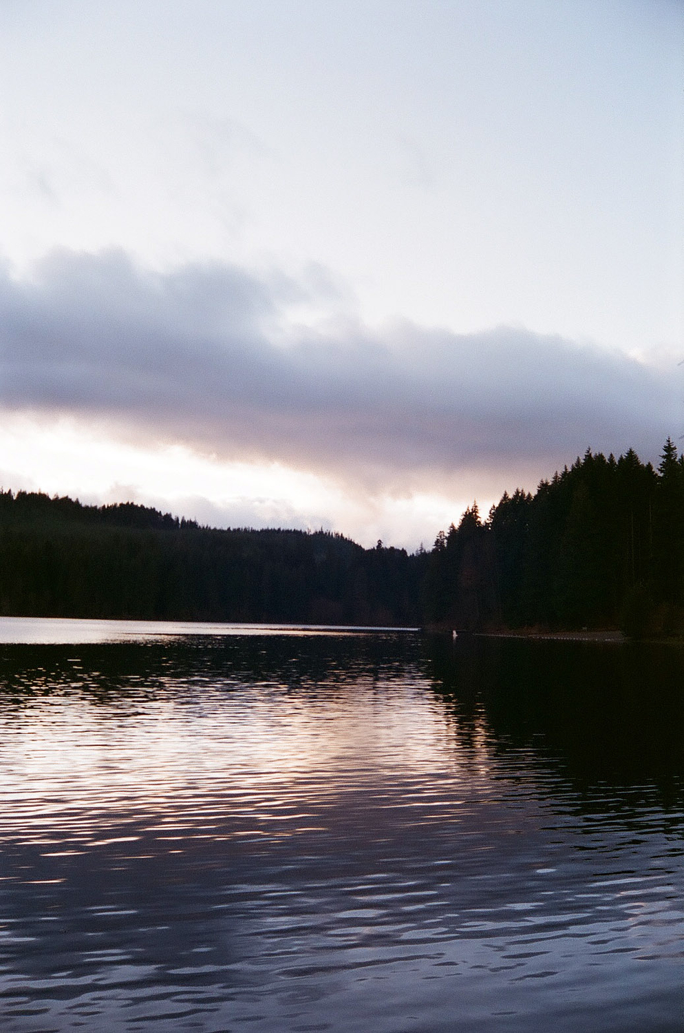 U26723I1545226933.SEQ.3.jpg
