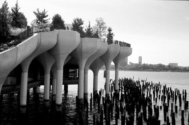 U26723I1629828034.SEQ.1.jpg