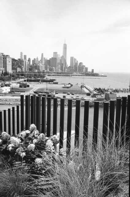 U26723I1629828034.SEQ.2.jpg