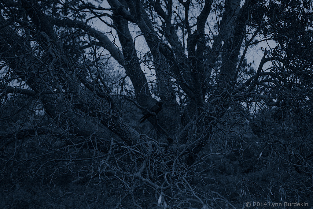 U27021I1561348152.SEQ.3.jpg