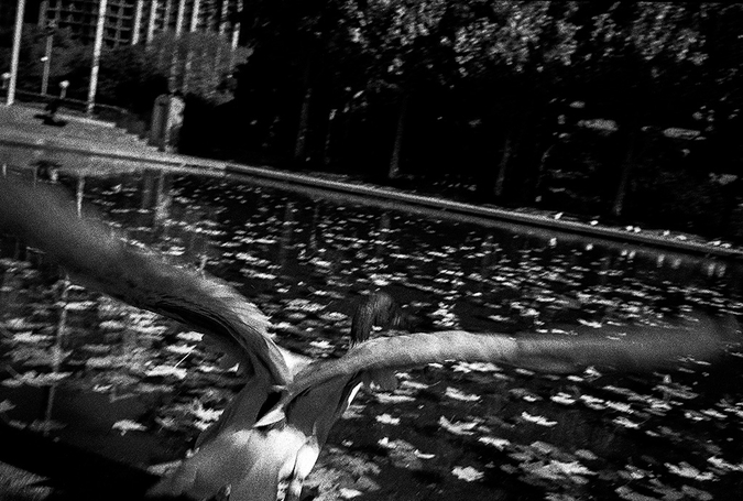 med_U27021I1525098163.SEQ.0.jpg
