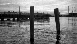 sml_U3187I1564780155.SEQ.0.jpg