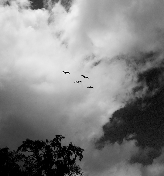 U34170I1588199813.SEQ.0.jpg
