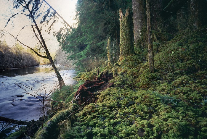 U37420I1528528461.SEQ.0.jpg