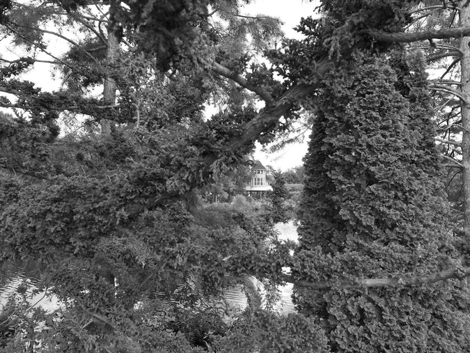 med_U37697I1565012275.SEQ.0.jpg