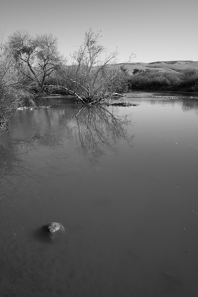 U3829I1552651934.SEQ.0.jpg