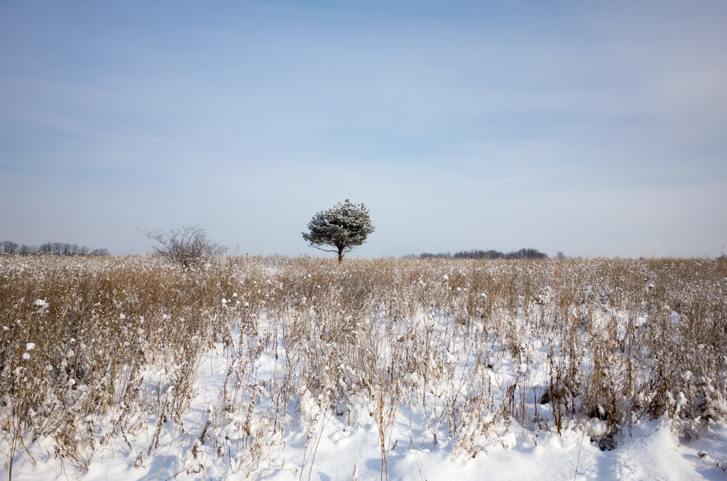 U38373I1515864548.SEQ.0.jpg