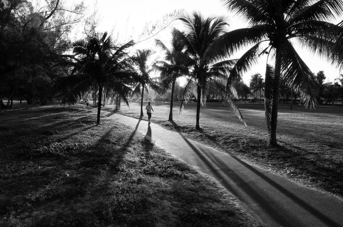 med_U38373I1543929555.SEQ.0.jpg