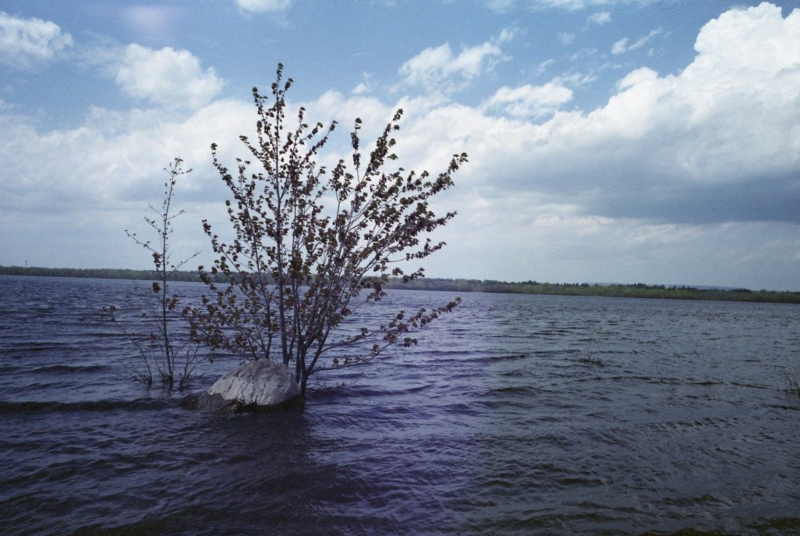 U41336I1511037599.SEQ.1.jpg