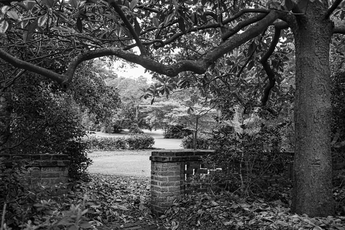 med_U45148I1592699984.SEQ.0.jpg