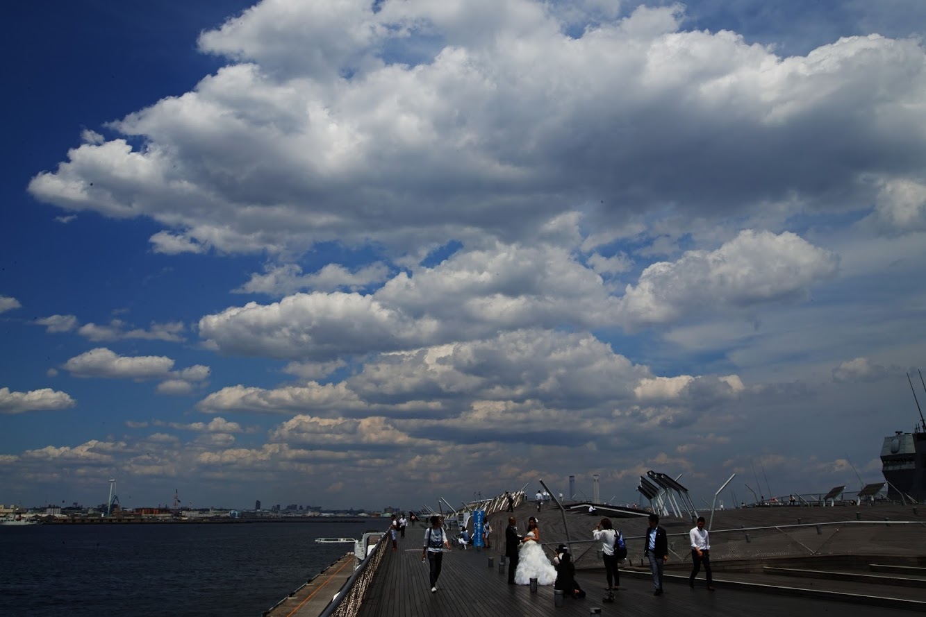 U69954I1539476569.SEQ.0.jpg