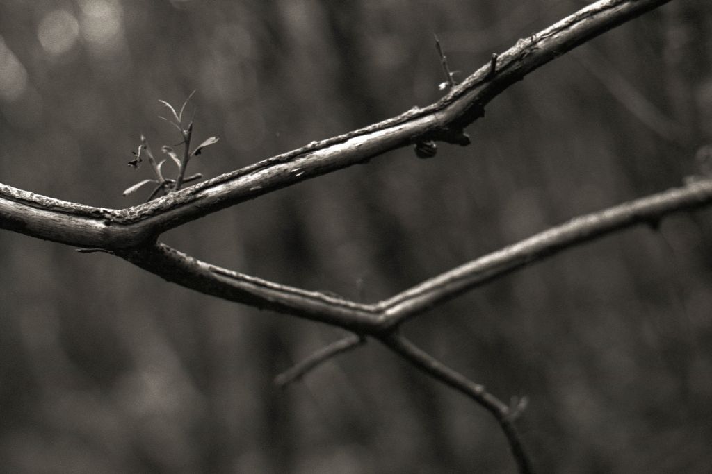 U73354I1619425819.SEQ.0.jpg
