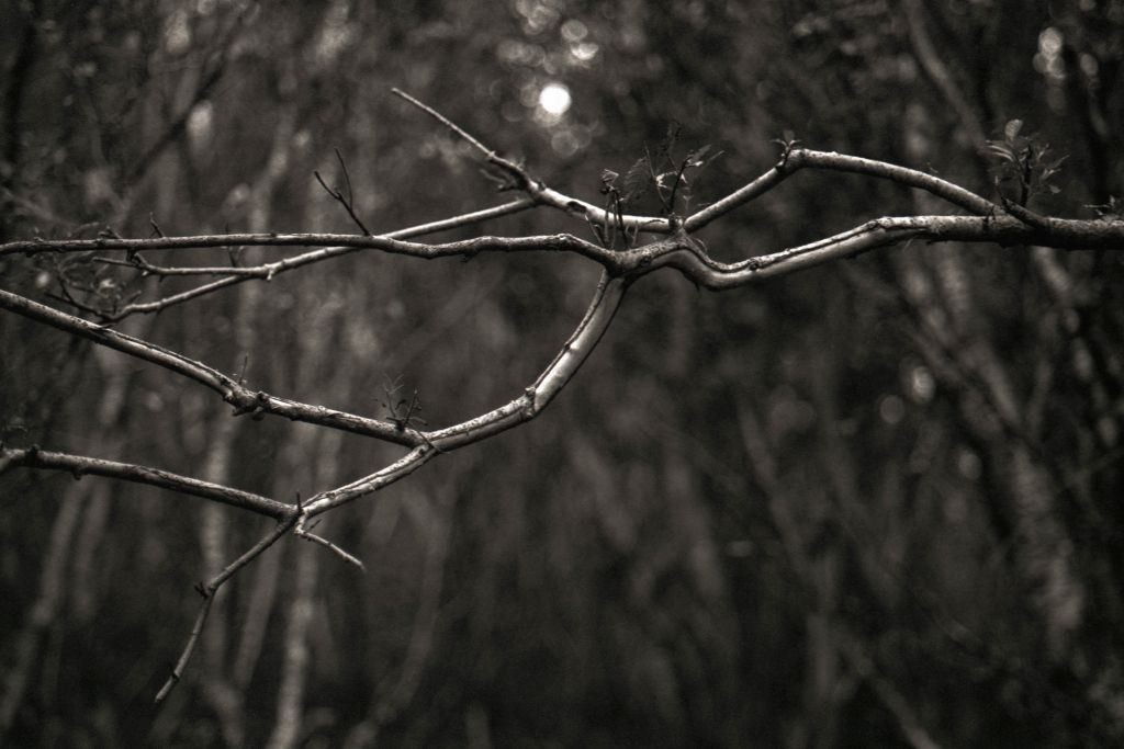 U73354I1619425820.SEQ.1.jpg