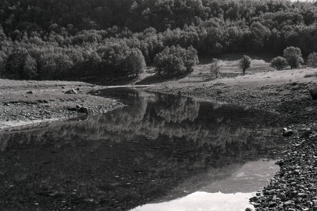 U73354I1620399435.SEQ.0.jpg