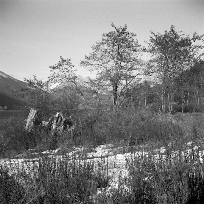 U76197I1551297285.SEQ.0.jpg