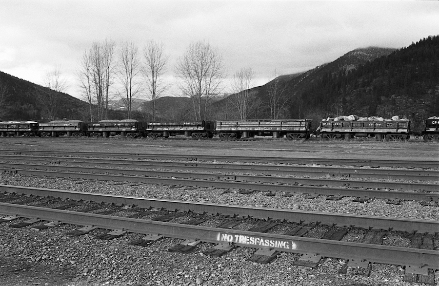 U76197I1551650778.SEQ.0.jpg