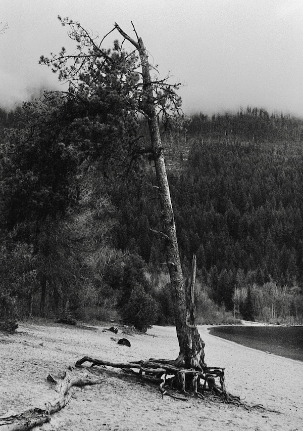 U76197I1551897367.SEQ.0.jpg
