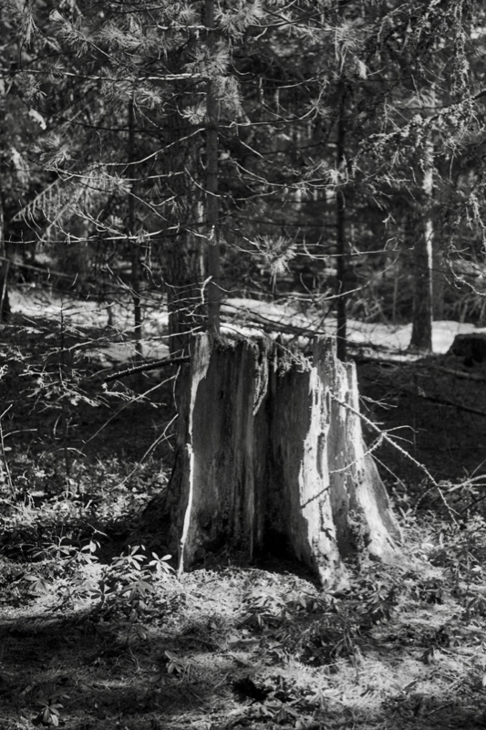 U76197I1555290940.SEQ.0.jpg