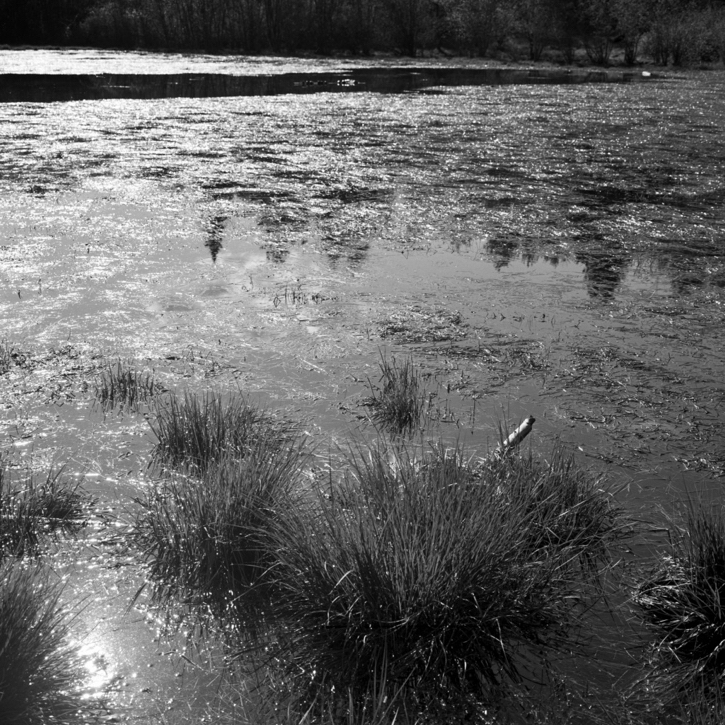 U76197I1558886427.SEQ.0.jpg