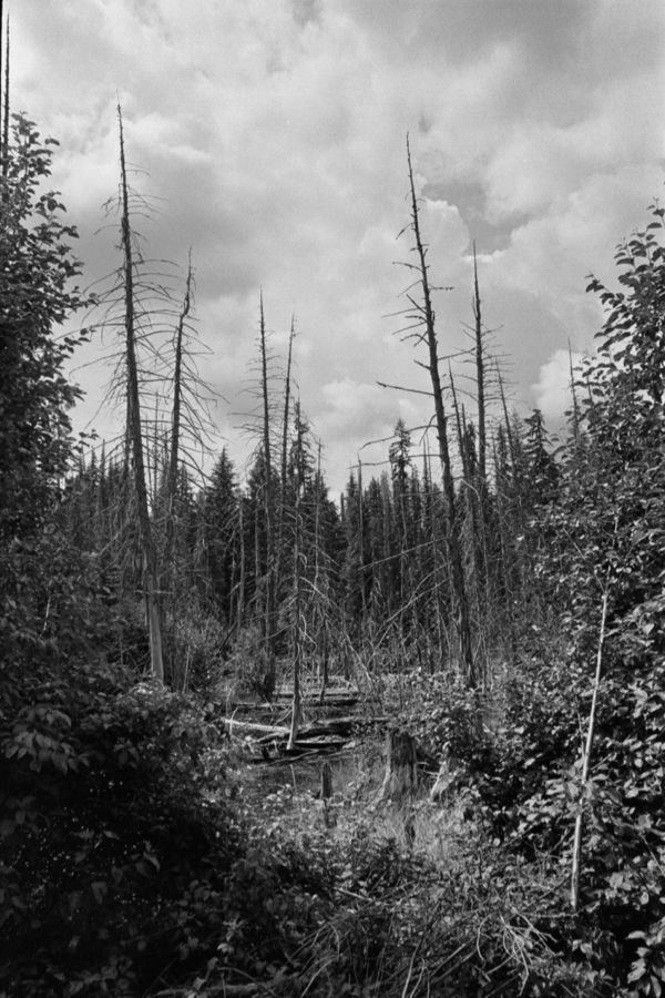 U76197I1565323628.SEQ.0.jpg