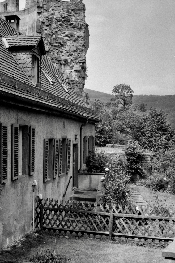U76197I1591837775.SEQ.0.jpg