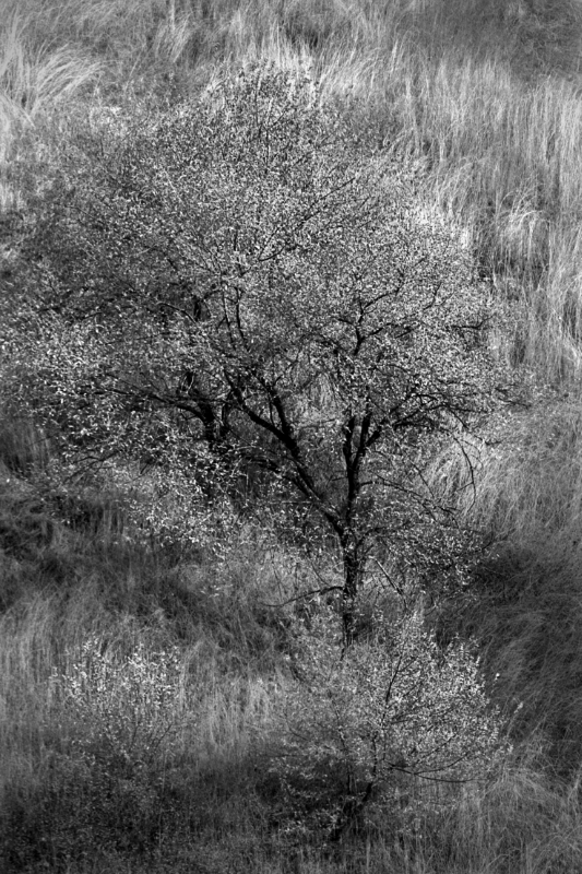 U76197I1603219568.SEQ.0.jpg