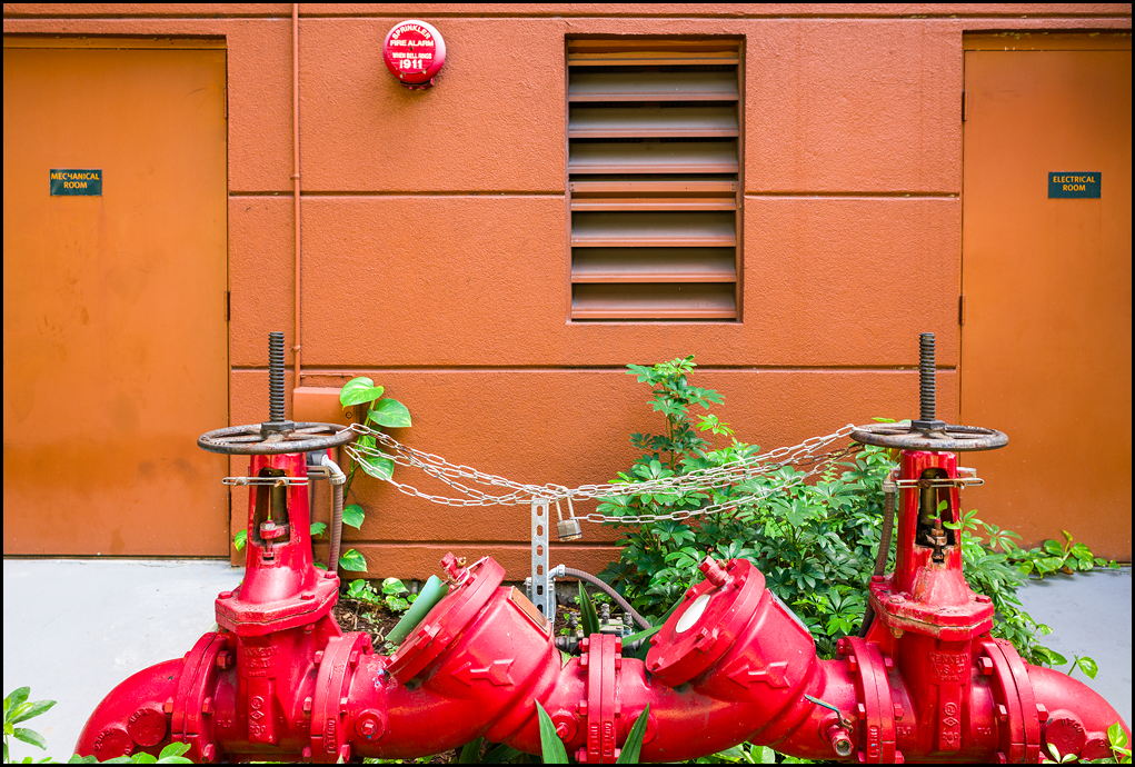U77I1494303672.SEQ.3.jpg