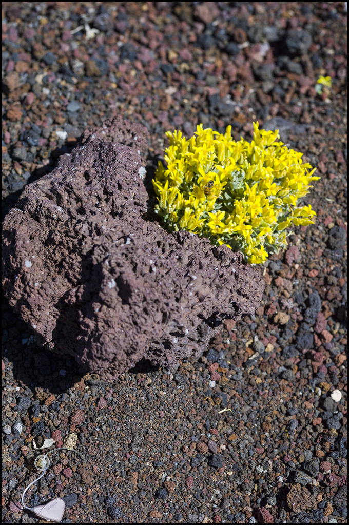 U77I1541315040.SEQ.3.jpg