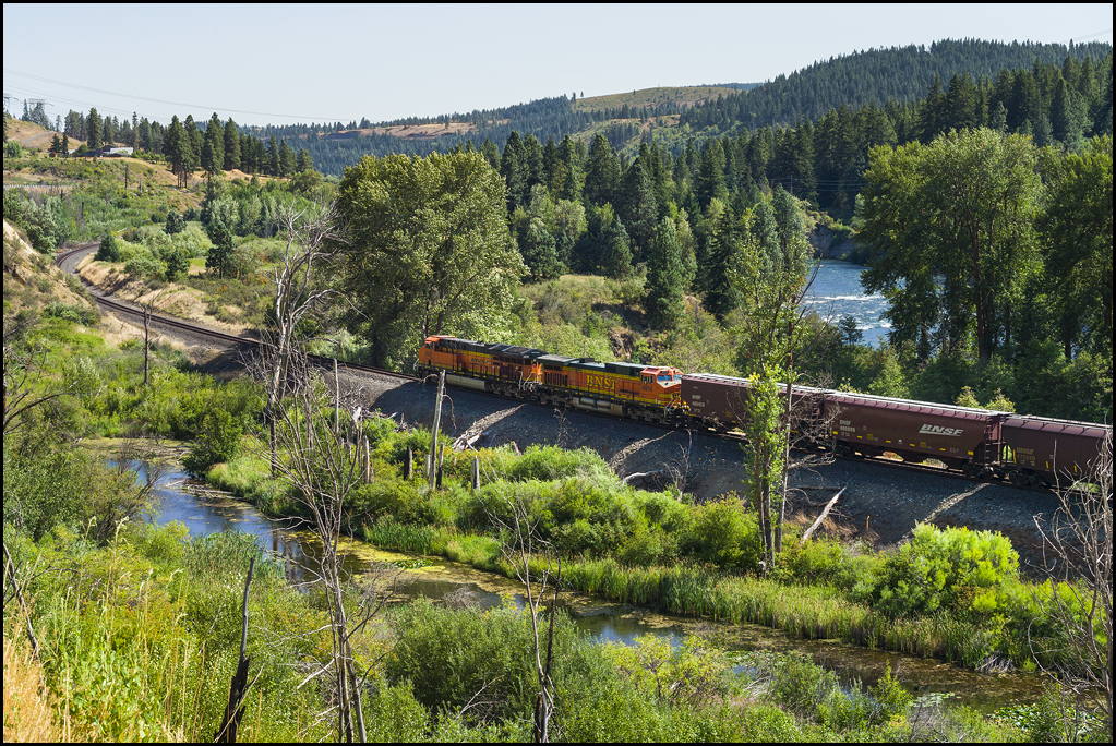 U77I1578296990.SEQ.3.jpg